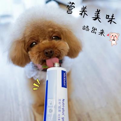 專業(yè)高效，合規(guī)清關(guān) 荷蘭寵物魚油膠囊進口報關(guān)全程指南