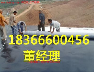 河北玻纖格柵廠家諾聯 高清產品圖與樣板圖賞析——中國化工產品網聚焦玻璃纖維